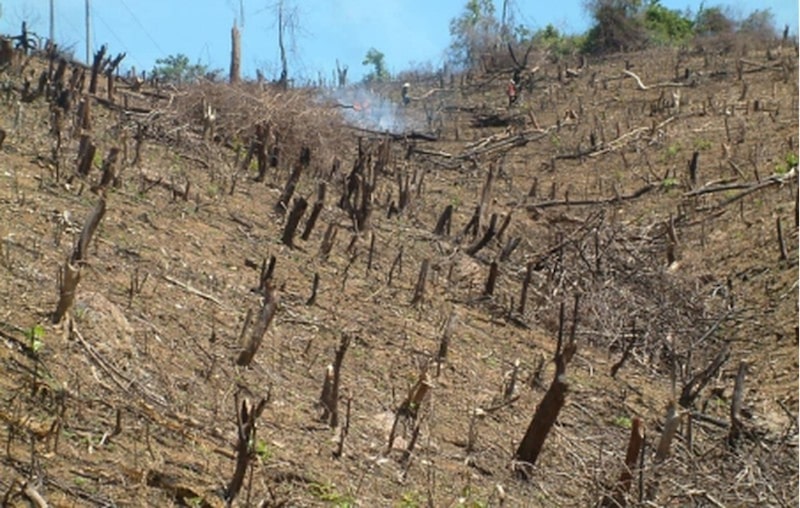 thực trạng ô nhiễm môi trường đất ở việt nam